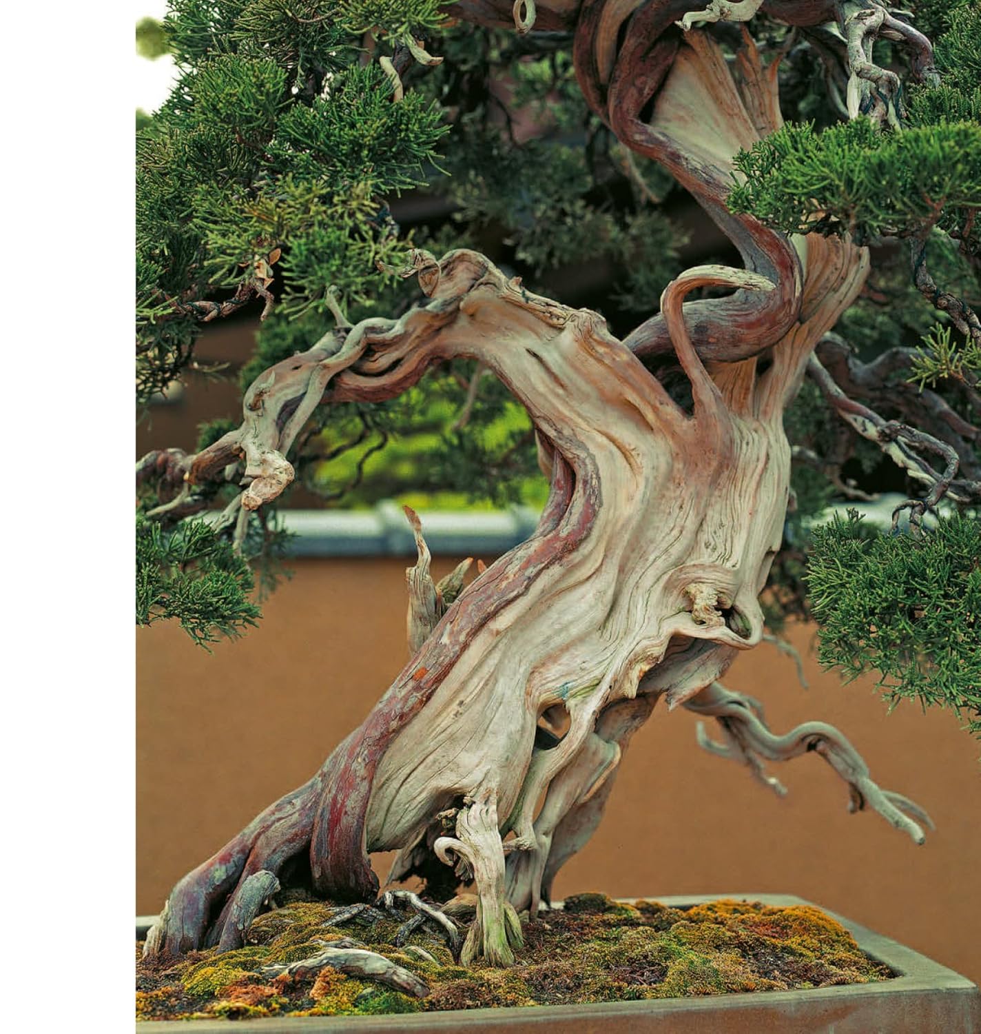 Japanese Gardens: Tranquility, Simplicity, Harmony - Image 13