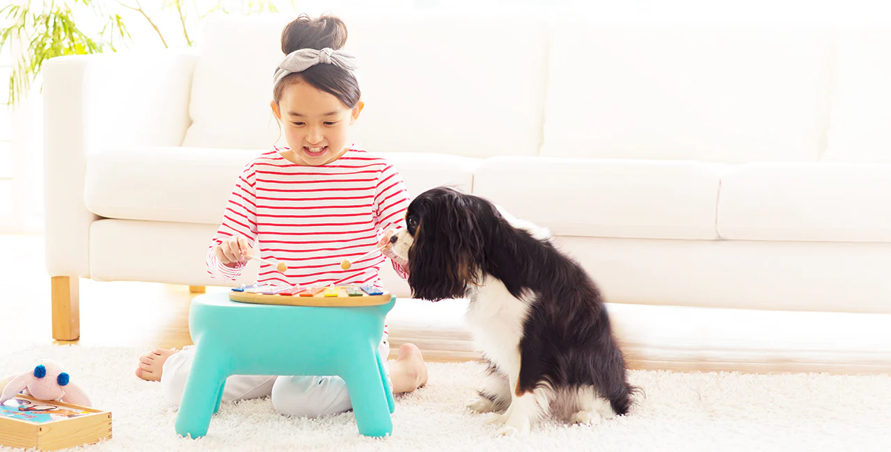 Hasegawa Purill Kids Step Stool - Blue - Image 4