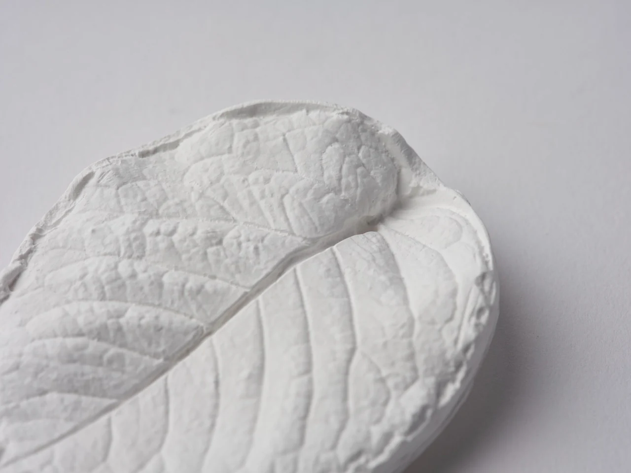 Incense Holder & Aroma Ornament -  Hydrangea Leaf - Image 5