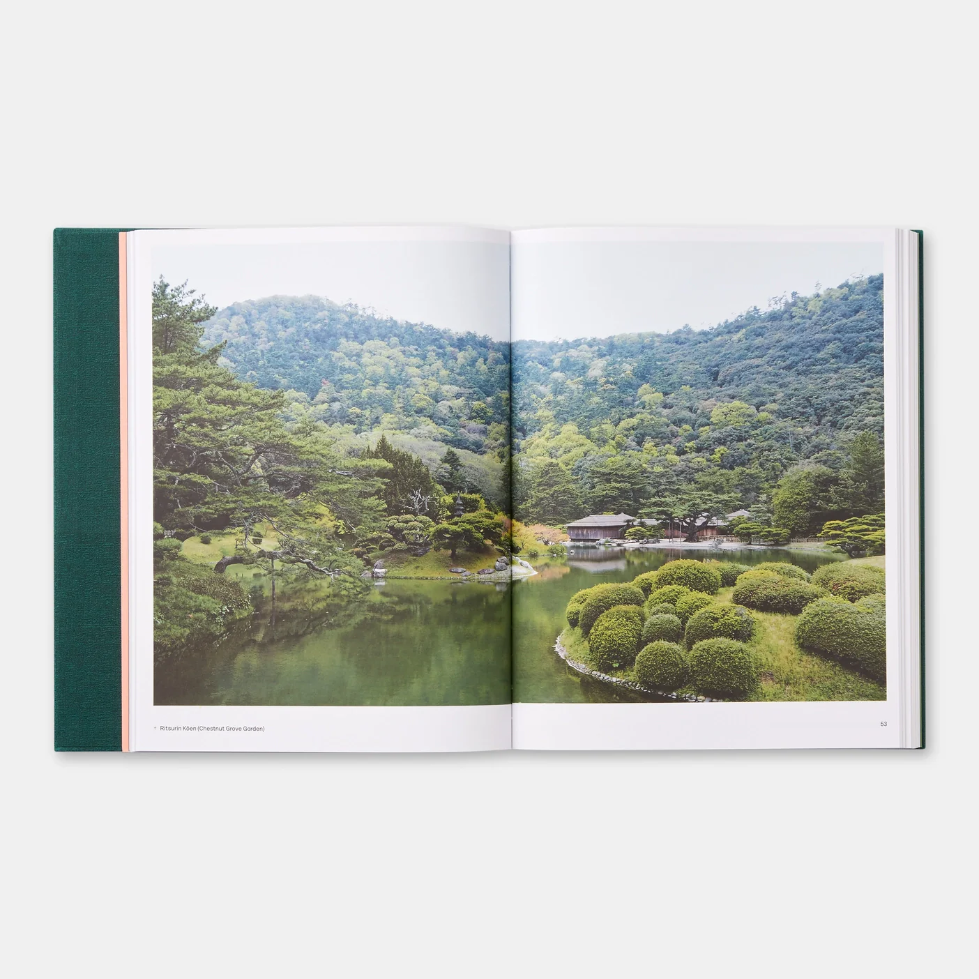 The Japanese Garden - Image 3